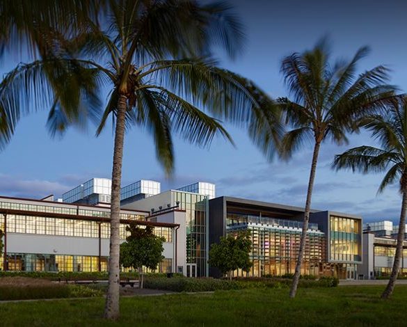 HOK: A global design, architecture, engineering and planning firm